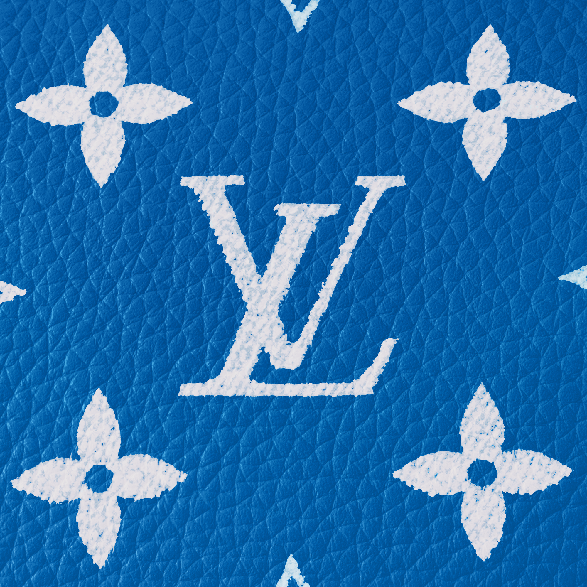 Speedy P9 Bandoulière 25 H40 - Leather Goods and Travel | LOUIS